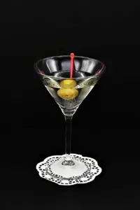 gin vs vodka martini