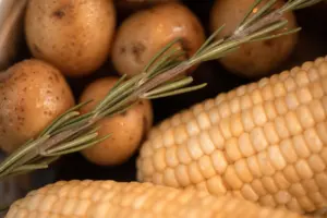 potato vodka vs grain vodka