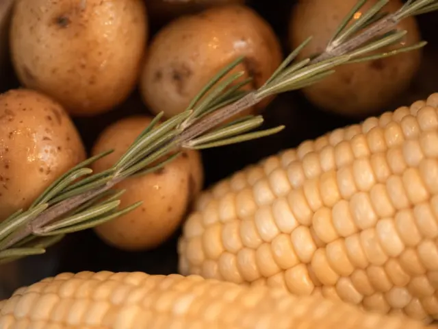 Potato Vodka vs Grain Vodka: The Practical Guide To Taste, Texture, And Choice In 2026