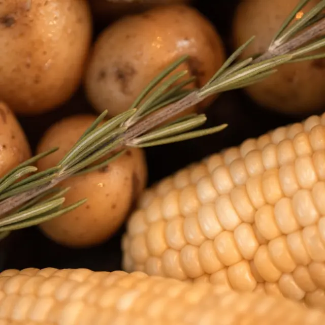 Potato Vodka vs Grain Vodka: The Practical Guide To Taste, Texture, And Choice In 2026