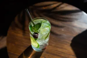 refreshing vodka cocktails
