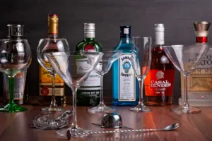 gin vs vodka